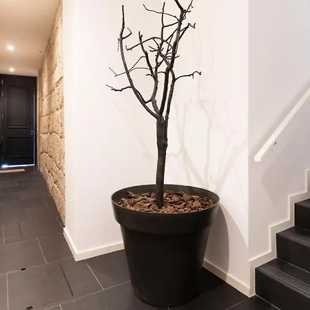 Premium Duplex In Bonfim By Lovelystay * Porto